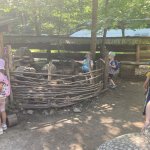 phoca_thumb_m_vlet  7 Fotogalerie